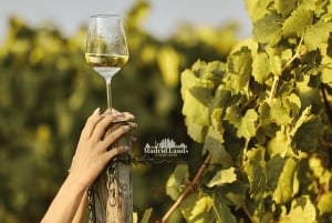 Madrid: Luxury Winnery & Toledo Tour