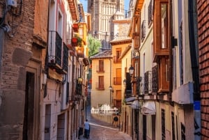 Madrid: Luksus Winnery & Toledo Tour