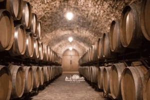 Madrid: Luksus Winnery & Toledo Tour
