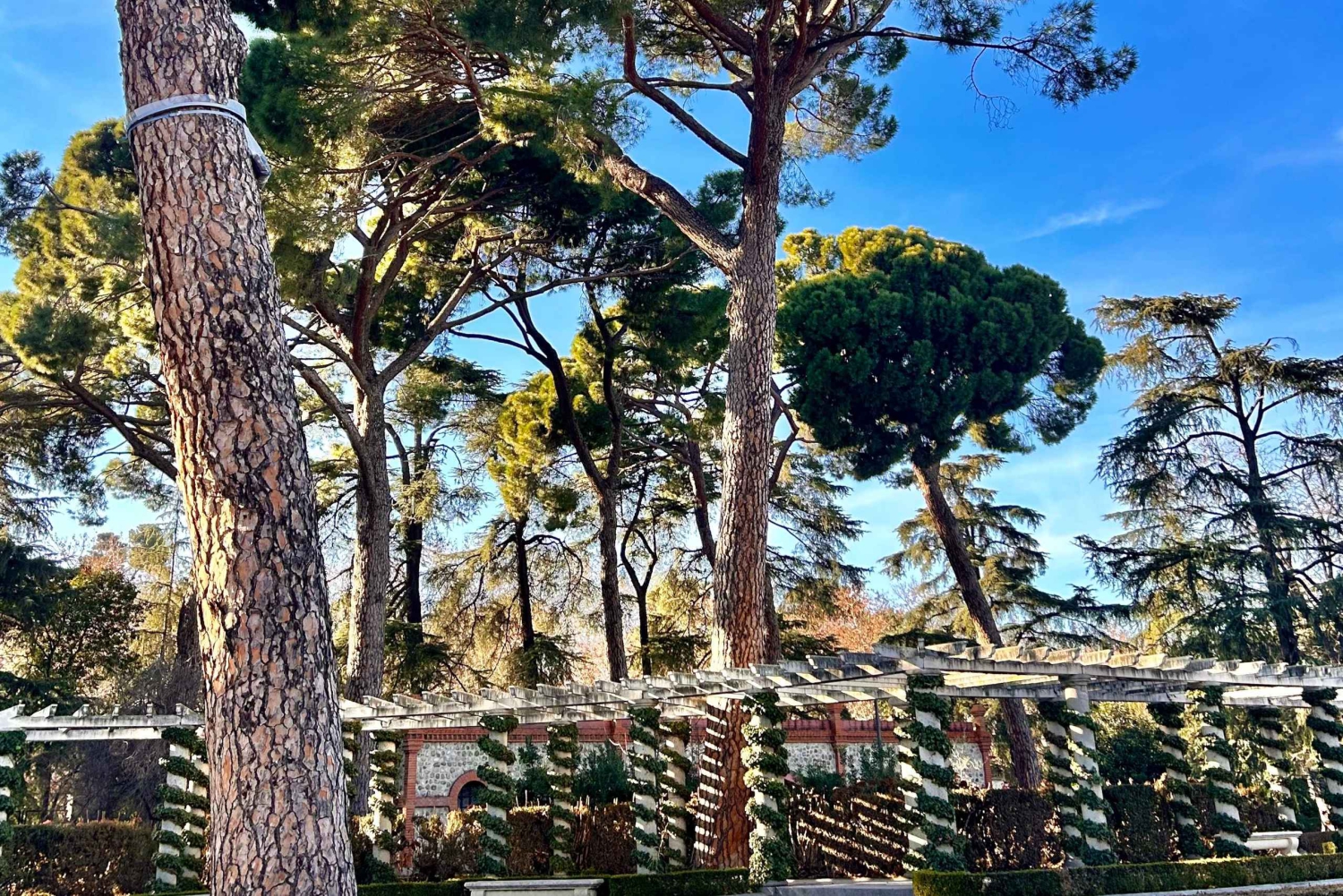 Мадрид: Волшебный велотур по парку Ретиро