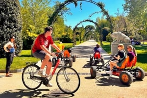 Madrid: Tour in bicicletta del magico Parco del Retiro