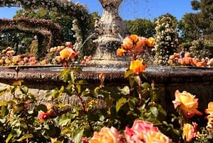 Madrid: Tour in bicicletta del magico Parco del Retiro