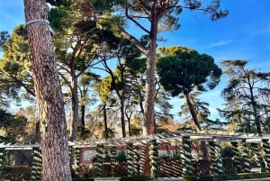 Madrid: Tour in bicicletta del magico Parco del Retiro