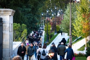 Madrid: Medieval History Tour of the City’s Ancient Past