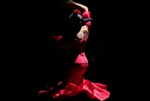 Madrid: Morning Flamenco Show Ticket with Refreshing Sangria Included