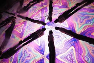 Madrid: Toegangsbewijs Museo de la Luz