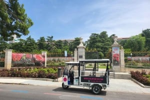 Tour panoramico di Madrid in Tuk Tuk