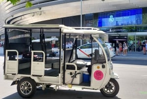 Tour panoramico di Madrid in Tuk Tuk