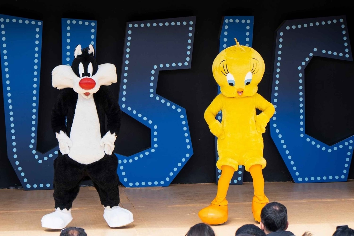 Madrid : Parque Warner : billet et transport aller-retour