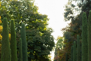 Madrid: Professional photoshoot in the Retiro park