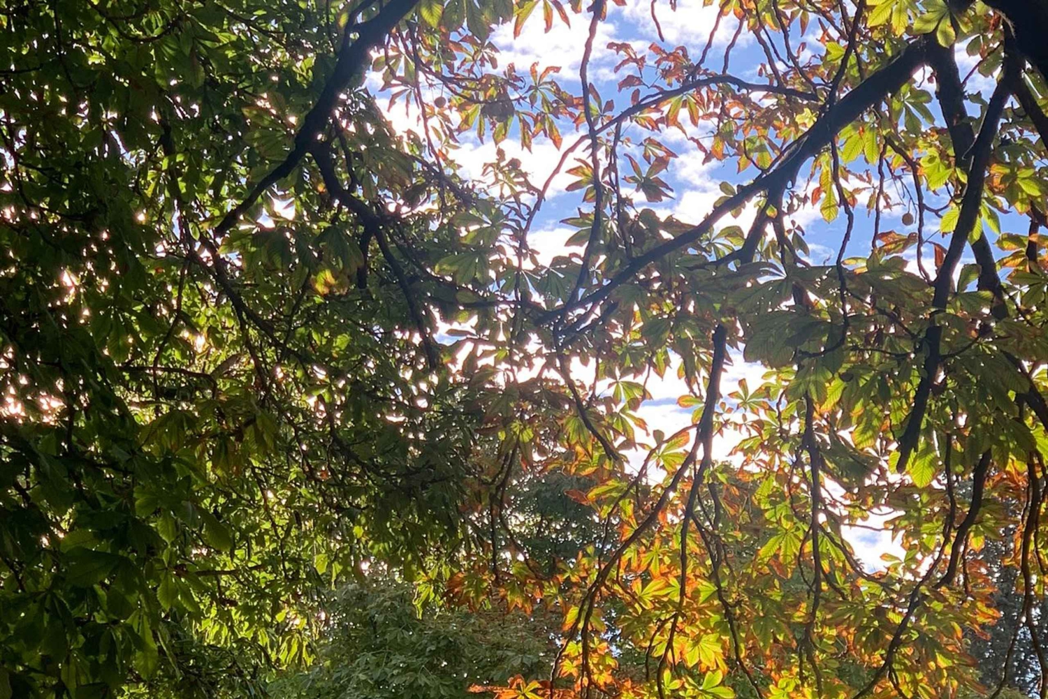 Madrid, Spanien: Museerna Prado och Reina Sofía