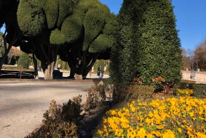 Madrid: Retiro-puisto ja Prado Avenue.