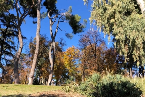 Madrid: Retiro-puisto ja Prado Avenue.