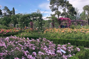 Madrid: Retiro-puisto ja Prado Avenue.