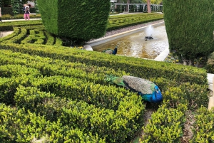 Madrid: Retiro-puisto ja Prado Avenue.