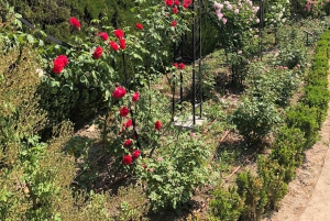 Madrid: Retiro-puisto ja Prado Avenue.