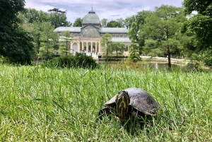 Madrid: Retiro-puisto ja Prado Avenue.