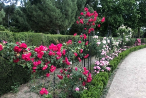 Madrid: Retiro-puisto ja Prado Avenue.