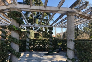 Madrid: Retiro-puisto ja Prado Avenue.