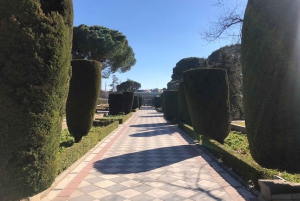 Madrid: Retiro-puisto ja Prado Avenue.