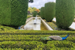 Madrid: Retiro-puisto ja Prado Avenue.