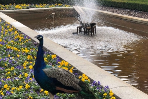 Madrid: Retiro-puisto ja Prado Avenue.