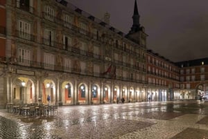 Madrid: Privétour van 3 uur