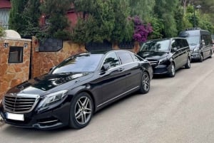 Madrid: Private Airport Transfer to Toledo