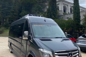 Madrid: Priv luchthaventransfer naar Toledo