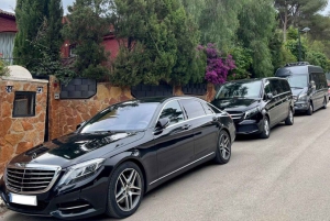 Madrid: Priv luchthaventransfer naar Toledo