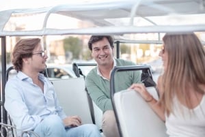 Madrid: tour privado de la ciudad en tuk-tuk ecológico