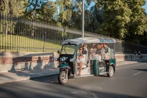 Madrid: tour privado de la ciudad en tuk-tuk ecológico