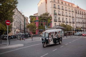 Madrid: Privat bytur med Eco Tuk Tuk