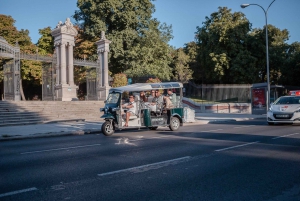 Madrid: Privat bytur med Eco Tuk Tuk