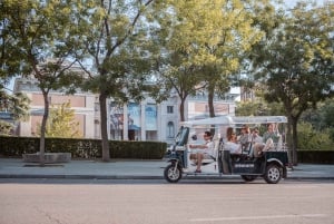 Madrid: Privat bytur med Eco Tuk Tuk