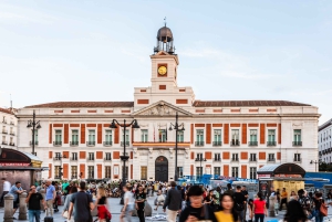 Madrid: Tour particular personalizado com um guia local