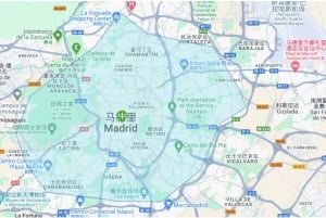 Madrid: Privé dagtocht op maat