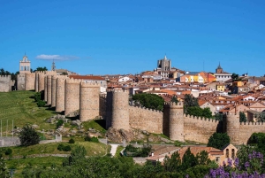 Madrid : Excursion privée d'une journée à Avila et Ségovie