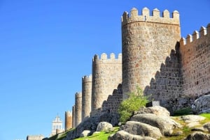 Madrid : Excursion privée d'une journée à Avila et Ségovie