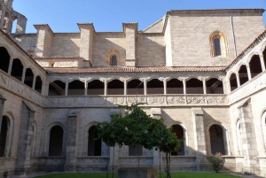 Madrid: Private Halbtagestour nach Ávila mit ortskundigem Guide