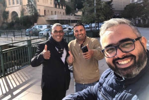 Madrid: Private Halbtagestour nach Ávila mit ortskundigem Guide