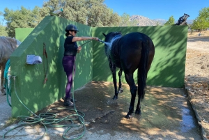 Мадрид: Частная прогулка на лошадях в НП Педриза и транспорт