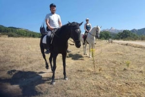 Madrid: Private Horseback Riding in Pedriza NP & Transport