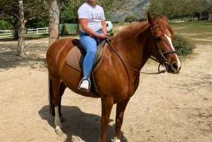 Madrid: Private Horseback Riding in Pedriza NP & Transport