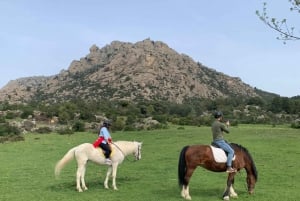 Madrid: Private Horseback Riding in Pedriza NP & Transport