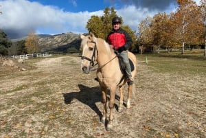 Madrid: Private Horseback Riding in Pedriza NP & Transport