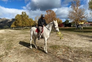 Madrid: Private Horseback Riding in Pedriza NP & Transport