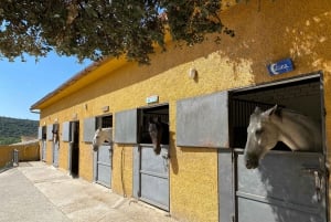 Madrid: Private Horseback Riding in Pedriza NP & Transport