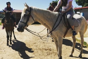 Madrid: Private Horseback Riding in Pedriza NP & Transport