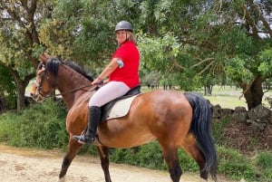 Madrid: Private Horseback Riding in Pedriza NP & Transport